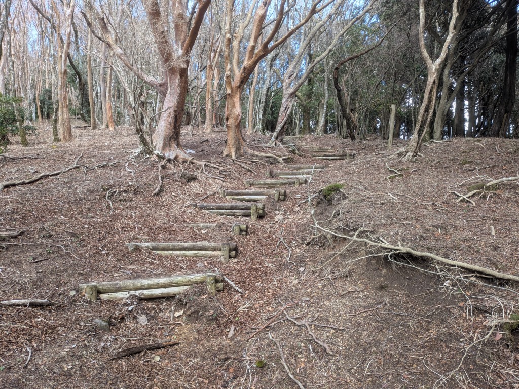 天城三筋山遊歩道 施工前