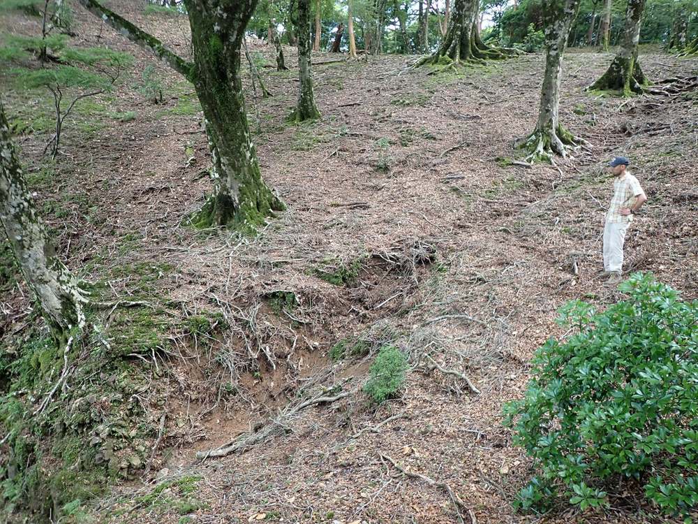 ブナ林の周りのスズタケなどは消失し、雨水がそのまま沢へ流れ下っている